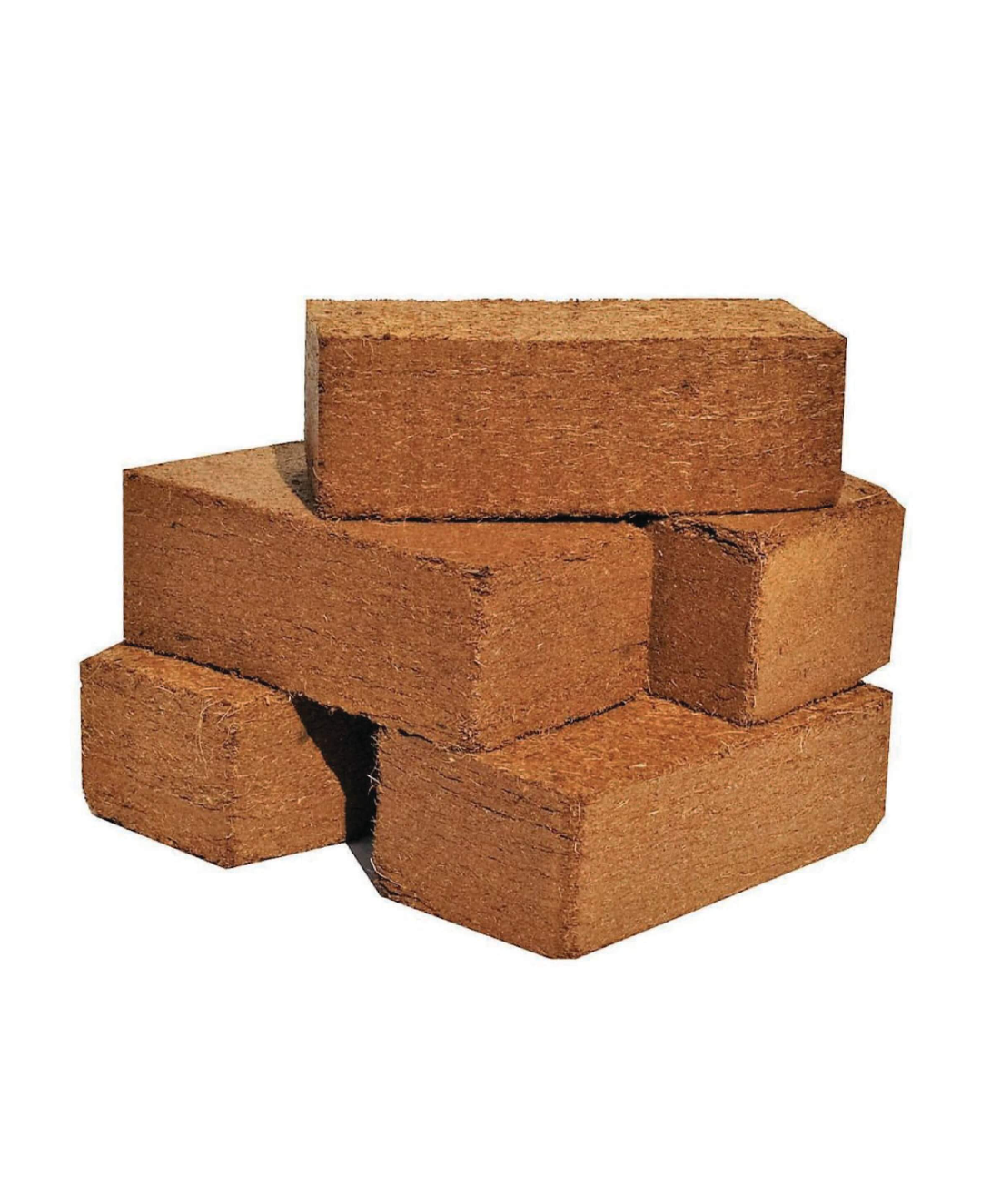 caerousel 1